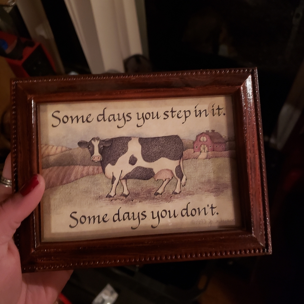 5/$15 Vintage farm cow picture